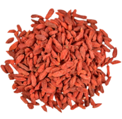 Kustovnica čínska "Goji"