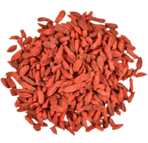 Kustovnice čínská (Goji)