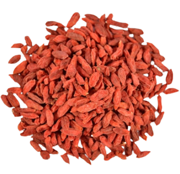 Kustovnice čínská (Goji)