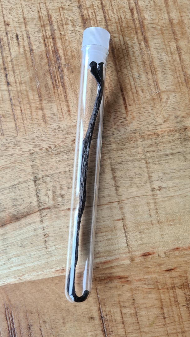 Vanilkový struk Bourbon - Madagaskar