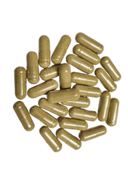 Tribulus terrestris kapsule - darčeková dóza 250ks