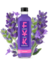 Kombucha - čajový nápoj