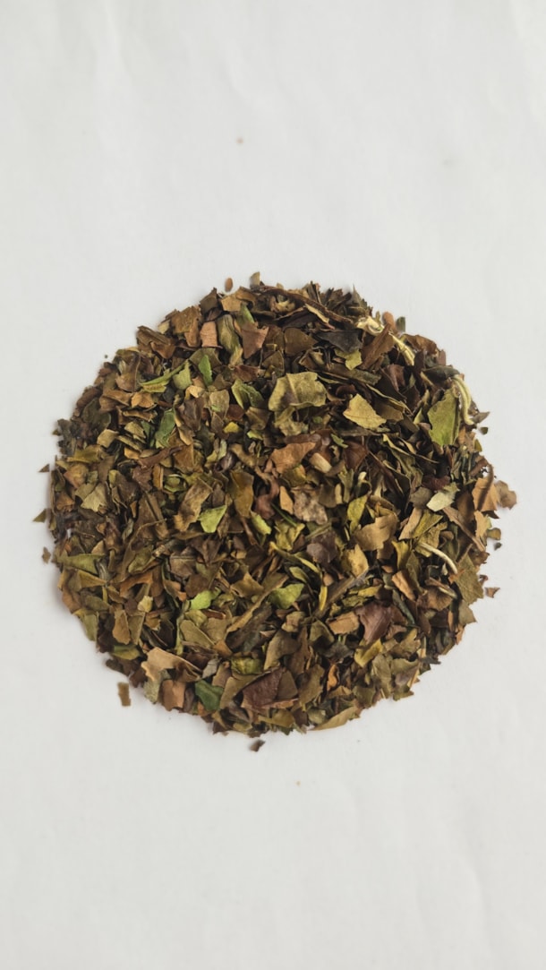 White Tea  - bílý čaj