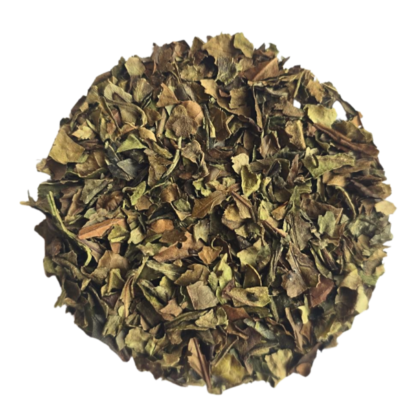 White Tea fanning- Biely čaj