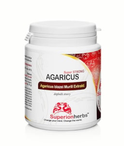 Agaricus blazei Murill, Extrakt 40 % polysacharidů - 90 kapslí