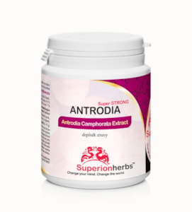 Antrodia Camphorata Extrakt 45% psch a 7% triterpenů - 90 kapslí