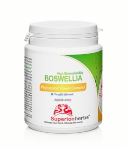 Boswellia Phytosome® – boswellin s vysokou vstřebatelností - 90 kapslí