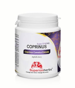 Coprinus Comatus extrakt z hnojníku obecného - 90 kapslí
