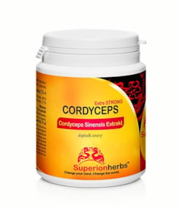 Cordyceps, Extrakt 40 % polysacharidů, 15 % manitolu - 90 kapslí