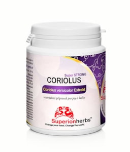Coriolus versicolor Extrakt 50 % polysacharidů - 90 kapslí