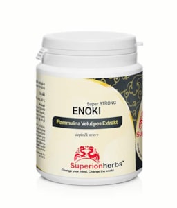 ENOKI - extrakt z peniazovky sametonohé - 90 kapslí