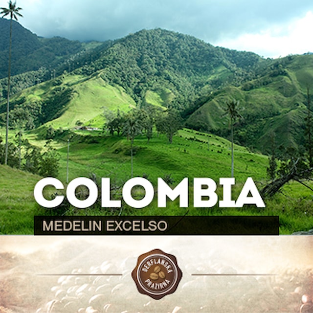 Colombia Medelin Excelso