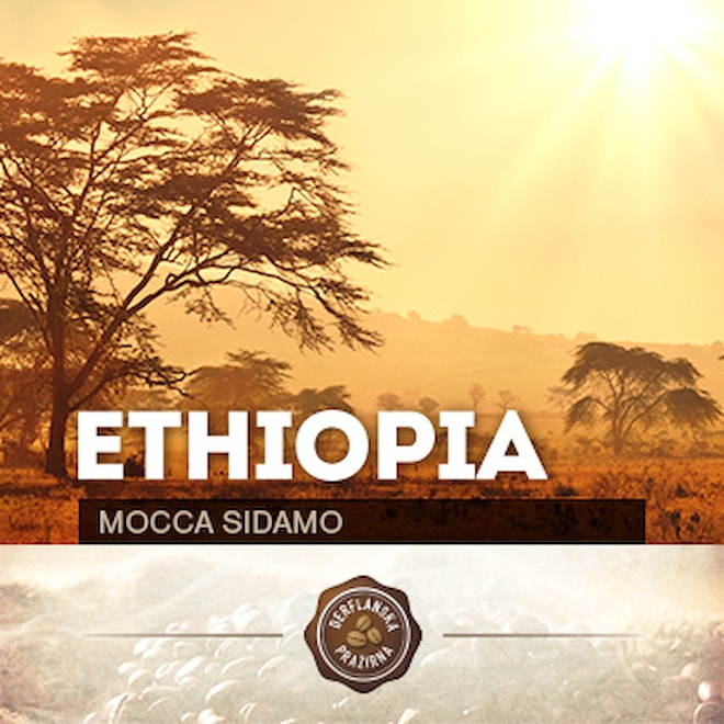 Káva Ethiopia Mocca Sidamo z Derflanské pražírny