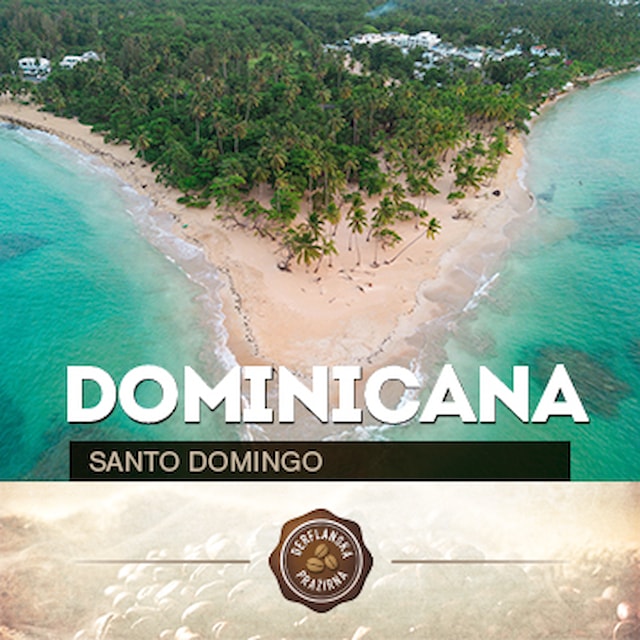 Dominicana Santo Domingo