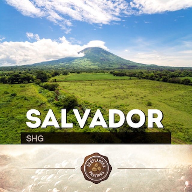 Salvador SHG
