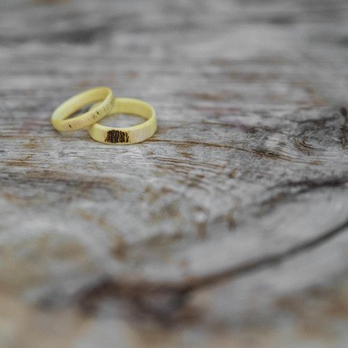 18-10-2019 Scvrckova (8)