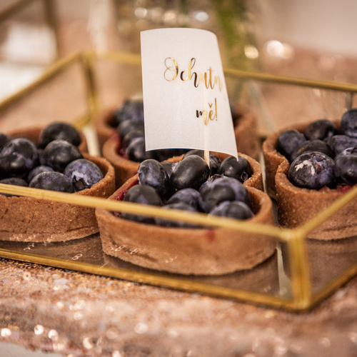 RENATA_CERVENEC 2020 (6)