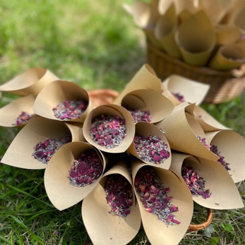 3-6-2022 svatebni obrad arboretum (7).JPG