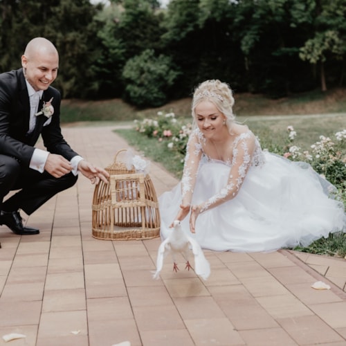 13-8-2022 Pajinka a Misanek (9).JPG