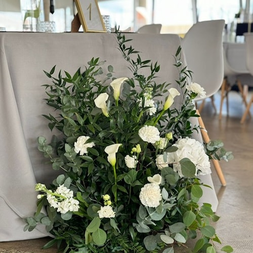 1-6-2024 Barbara a Marin (3).JPG