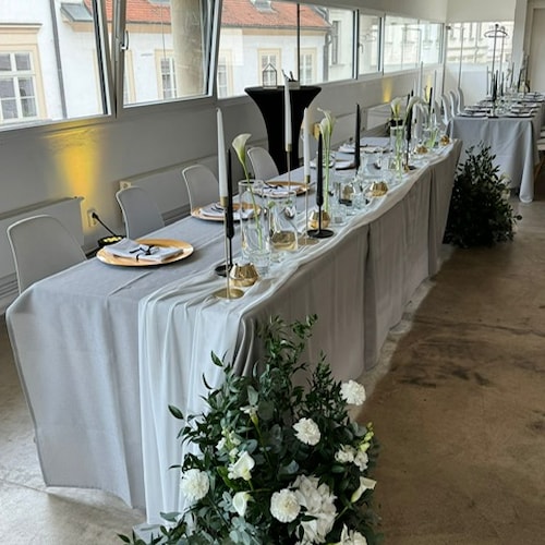 1-6-2024 Barbara a Marin (5).JPG