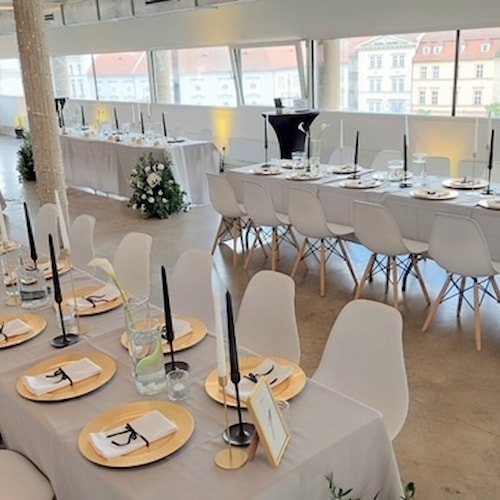 1-6-2024 Barbara a Marin (6).JPG