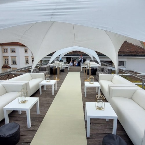 1-6-2024 Barbara a Marin (9).JPG