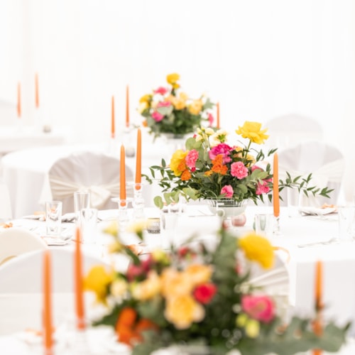 15-6-2024 Sekerova (2)