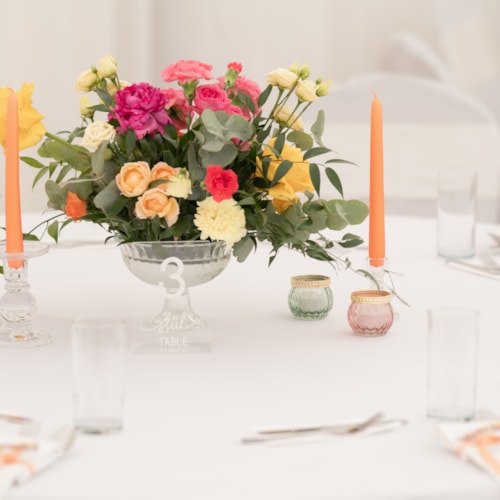 15-6-2024 Sekerova (4)