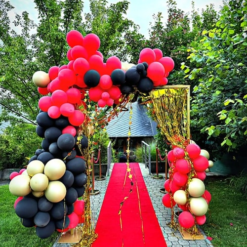 8-6-2024 Maximus narozeniny (10).JPG