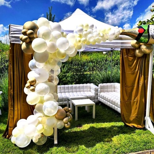 8-6-2024 Maximus narozeniny (17).JPG