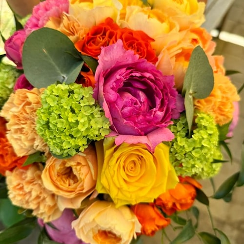 15-6-2024 Sekerova (11).JPG