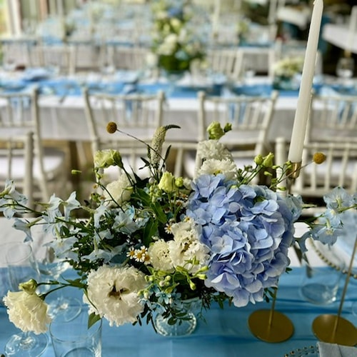 17-8-2024 Jean-Paul and Beatriz (5).JPG