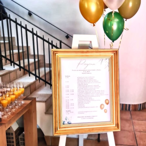 8-6-2024 narozeniny Samsara (1).JPG