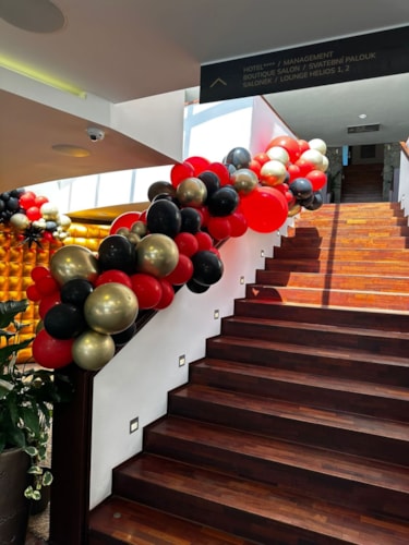 8-6-2024 Maximus narozeniny (72).JPG