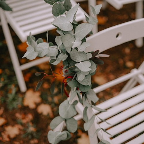 Svatba rijen 2024 (2).JPG