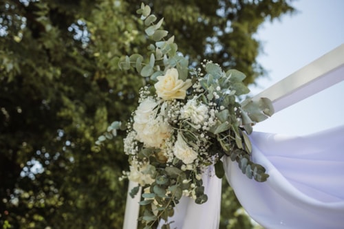 14-6-2025 Papouskovi (8).JPG