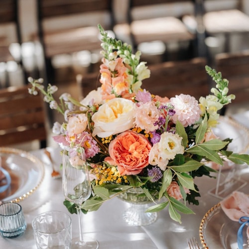 29-8-2025 Pavla a Tomas (19)_Patrik.JPG