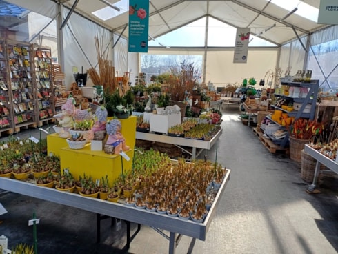 2-IMG-20250220-WA0004