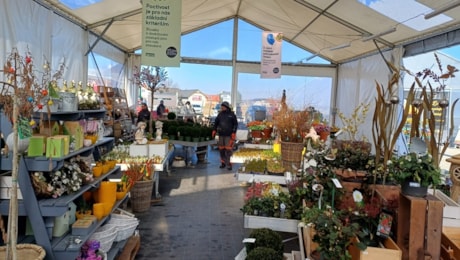 Predaj kvetov v stane