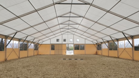 Reiten, Kynologie und andere Tiersportarten?