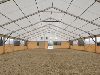 Reiten, Kynologie und andere Tiersportarten?