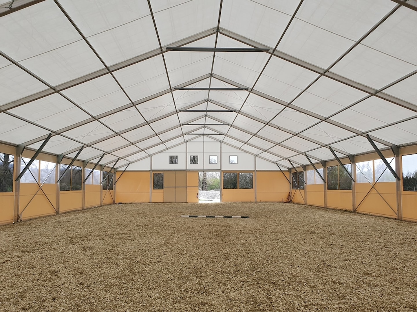 Reiten, Kynologie und andere Tiersportarten?