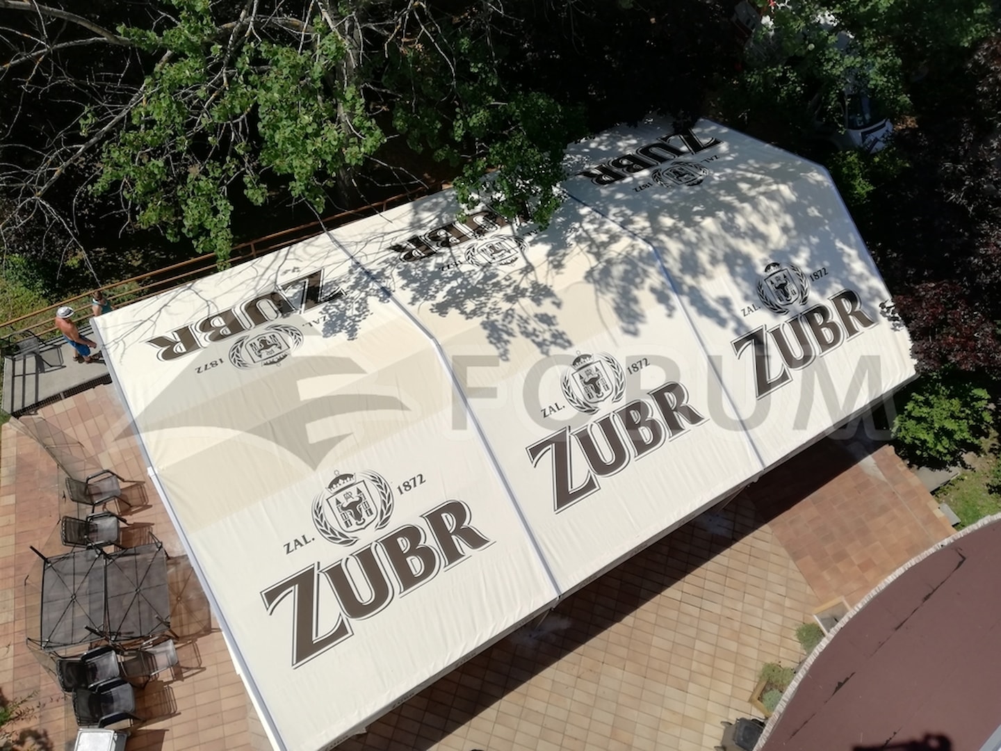 The bison in full force