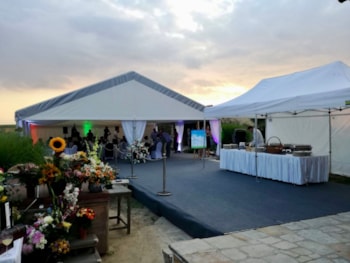 exteriery_forum_alfa-3