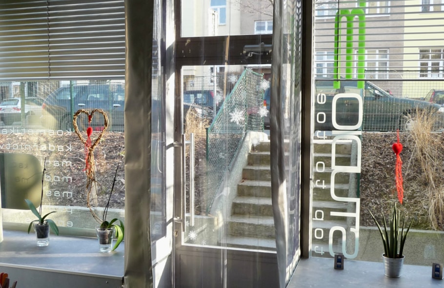 Eingangsvorhang transparent Rewach-1.JPG