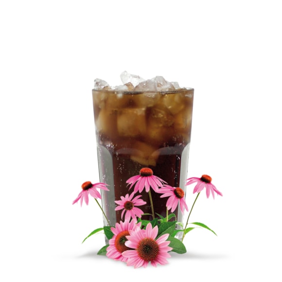bio sirup cola echinacea