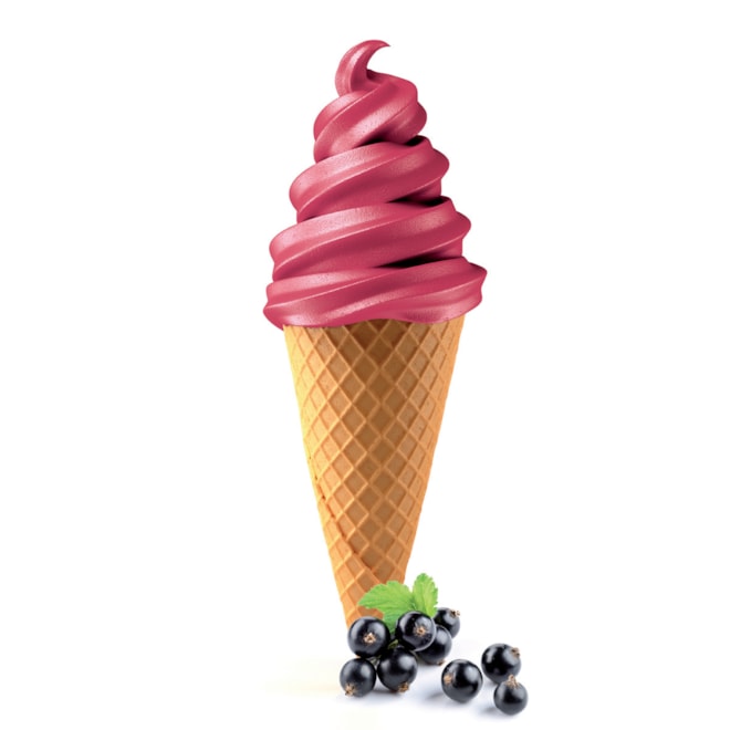 Točená zmrzlina Černý rybíz 2 kg