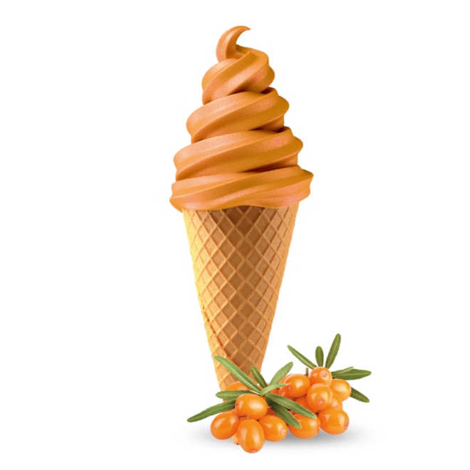 Točená zmrzlina Rakytník 2 kg