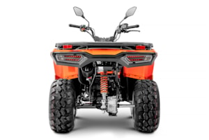 X-Wolf 300-oranžová-06